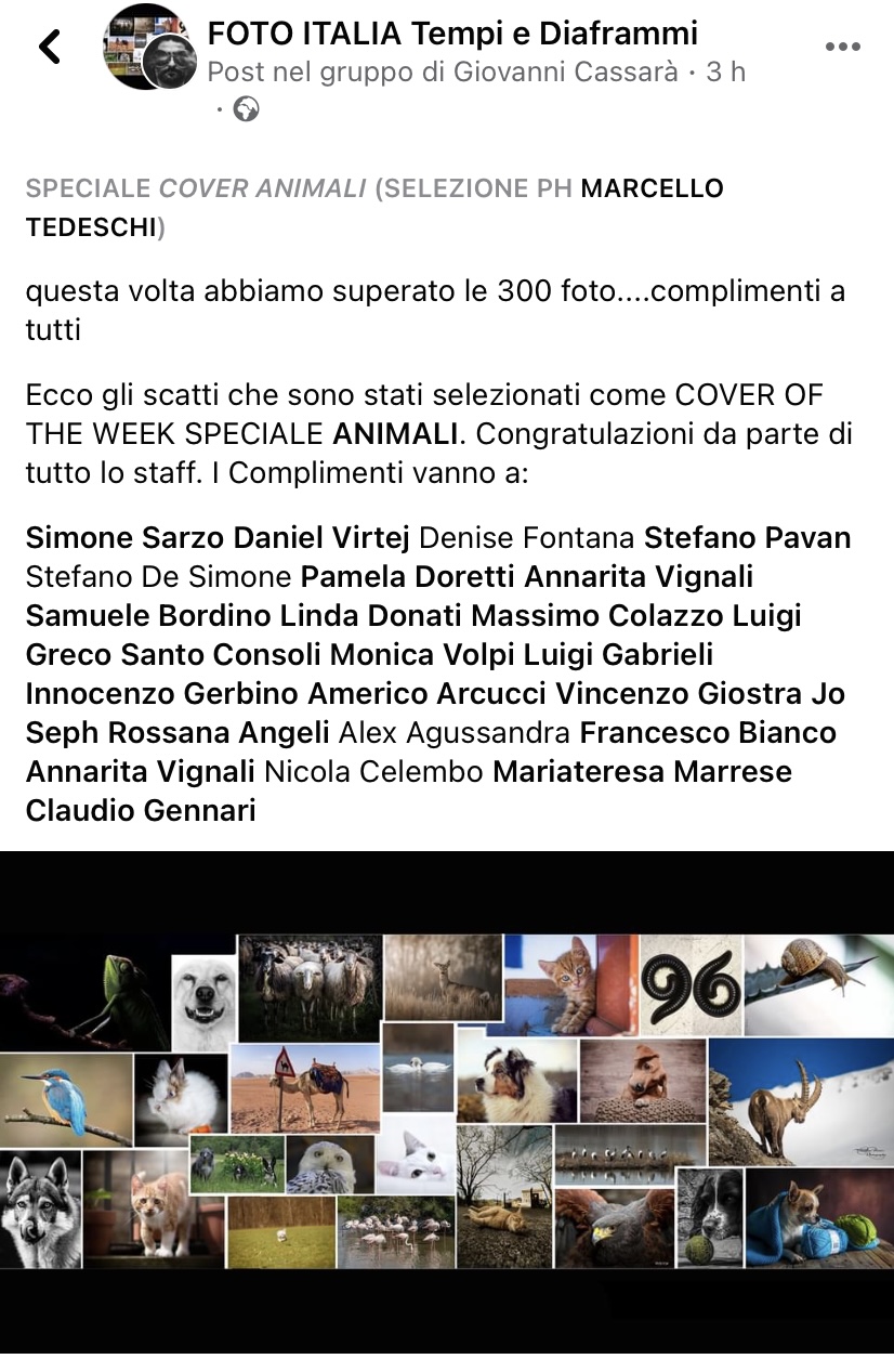 Il Martin Pescatore del Padule di Fucecchio scelta da FOTO ITALIA Tempi e Diaframmi